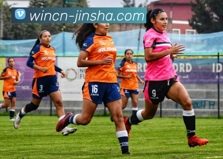 金沙国际平台生态图